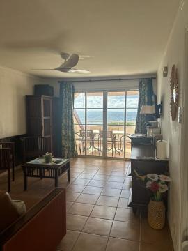 inbound1205009822530515479