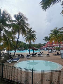 inbound3171856348129366755