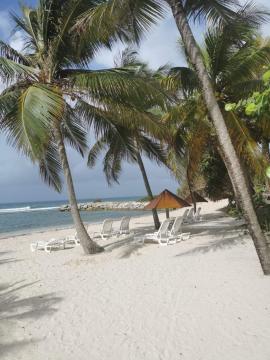 inbound4414076297333005882